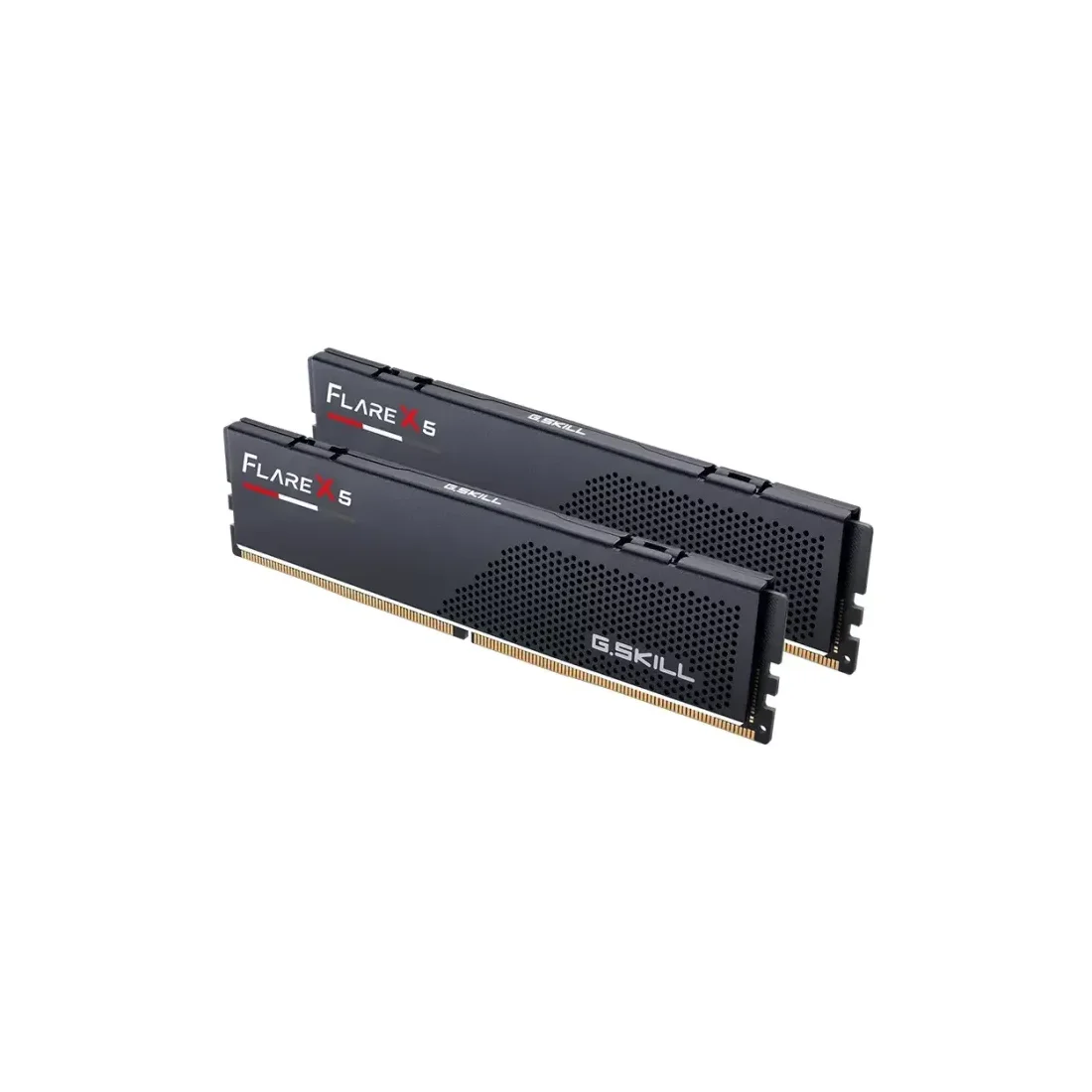 G.SKILL Flare X5 64GB